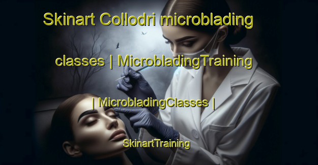 Skinart Collodri microblading classes | MicrobladingTraining | MicrobladingClasses | SkinartTraining-Italy